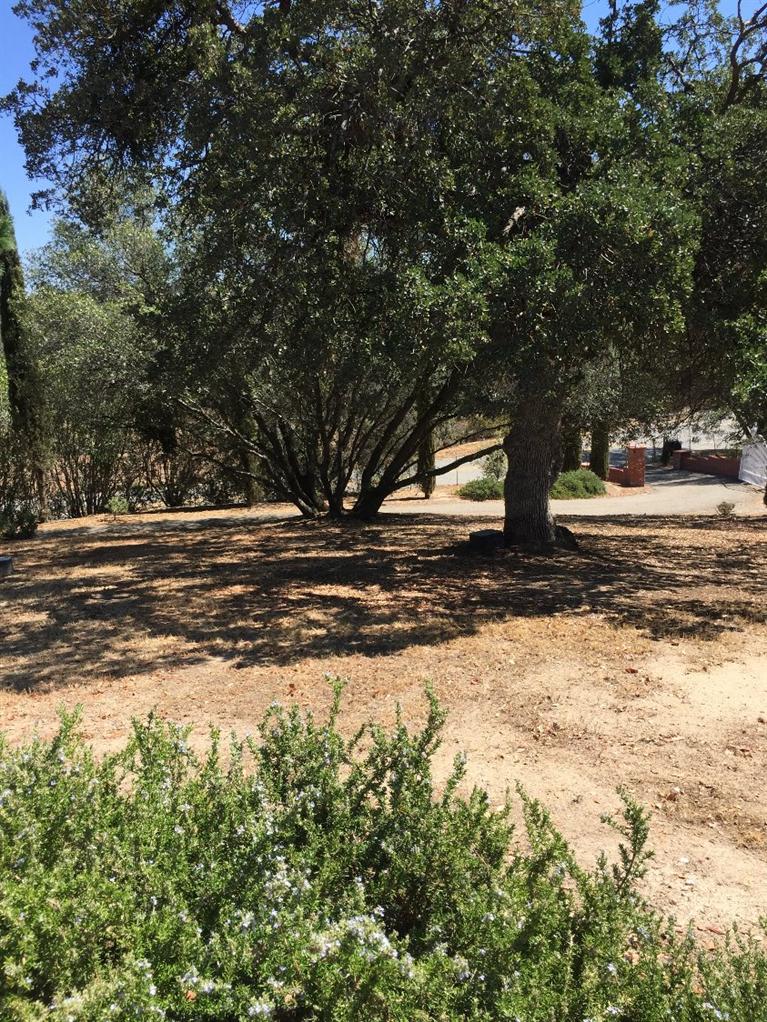 32486 Meadow Ridge Road Coarsegold, CA 93614 - Photo 34 of 35 Gallery Image 34