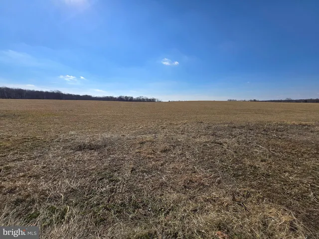 a view of an ocean and beach