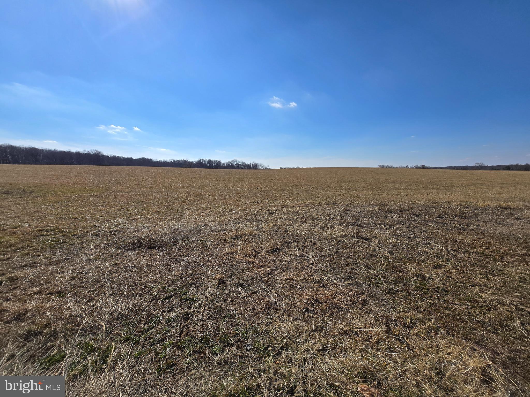 14890 Clopper Road Boyds, MD 20841 - Photo 8 of 15