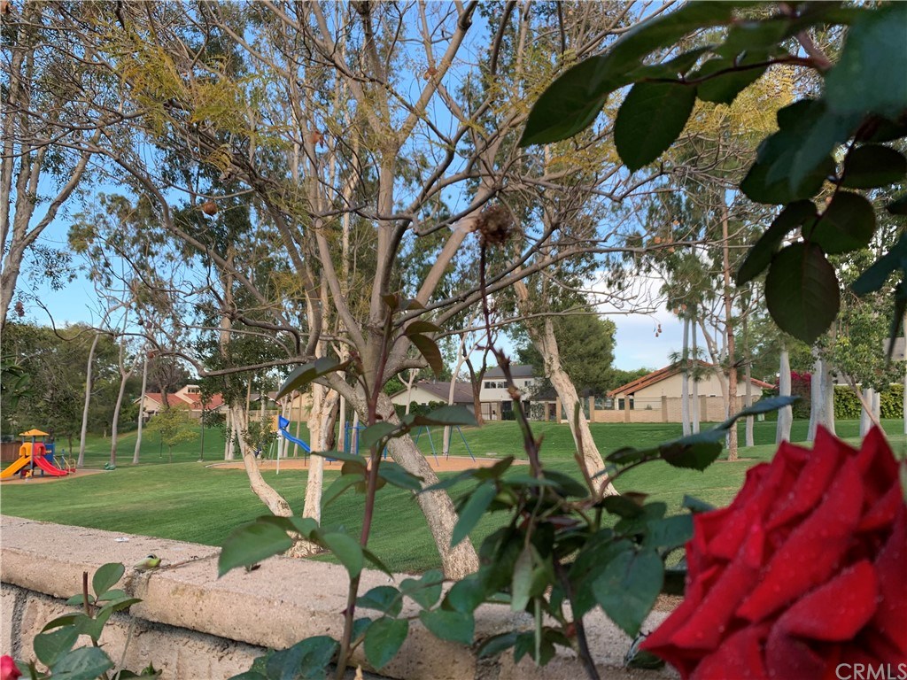 36 Seton Road Irvine, CA 92612 - Photo 22 of 36