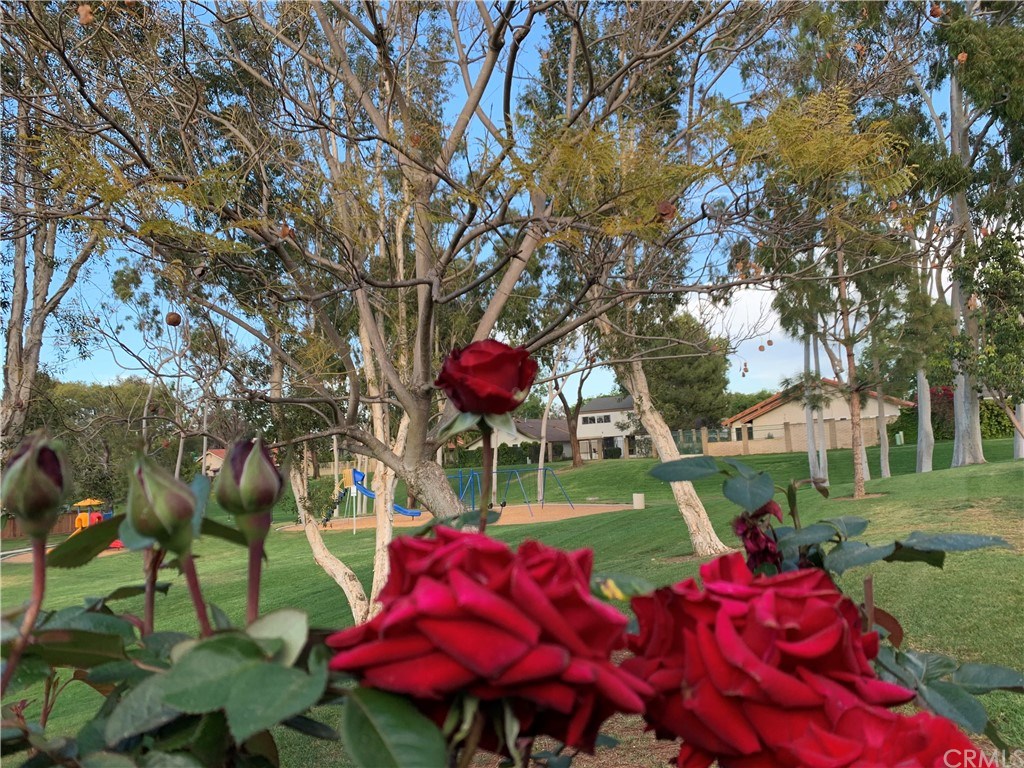 36 Seton Road Irvine, CA 92612 - Photo 23 of 36