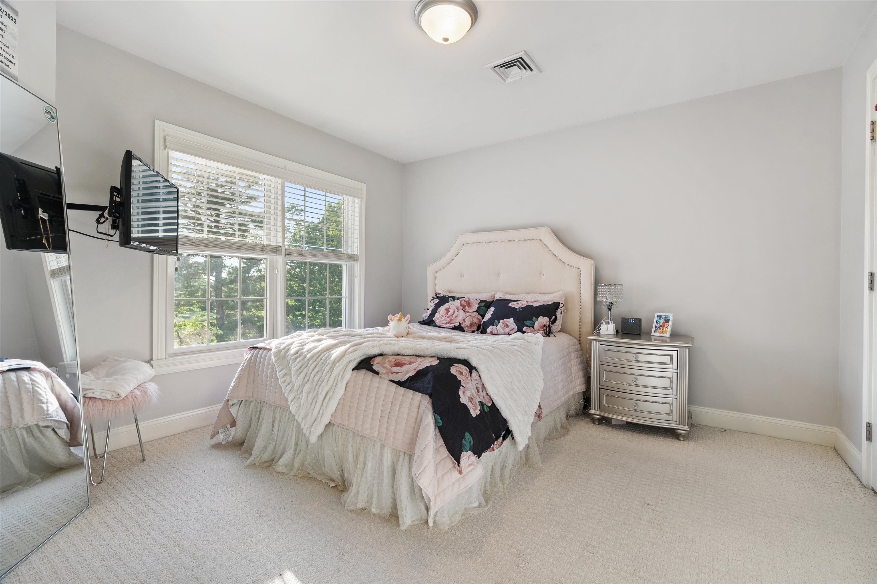 39 Ticklefancy Lane Salem, NH 03079 - Photo 30 of 55