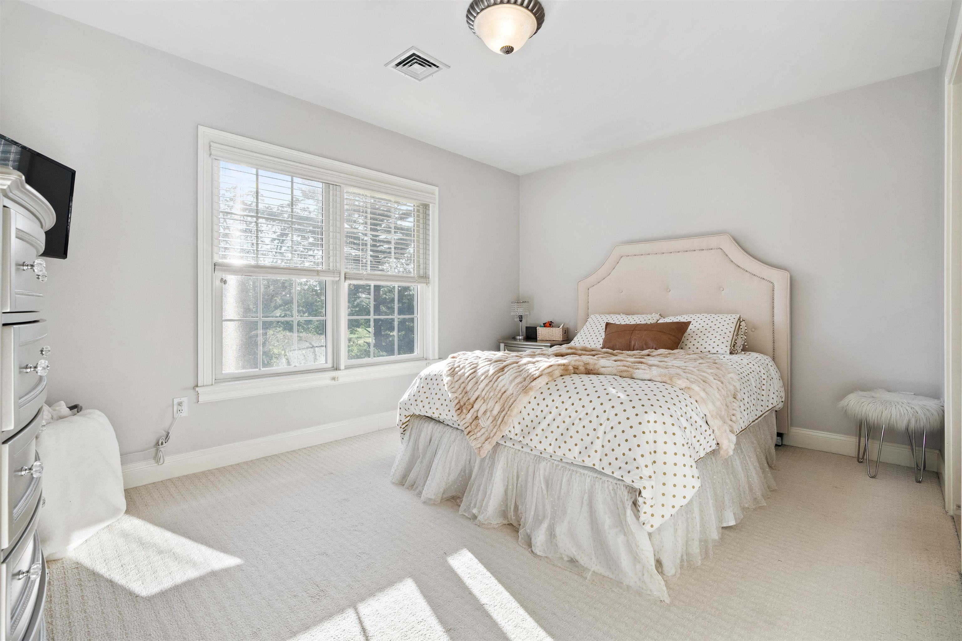 39 Ticklefancy Lane Salem, NH 03079 - Photo 33 of 55