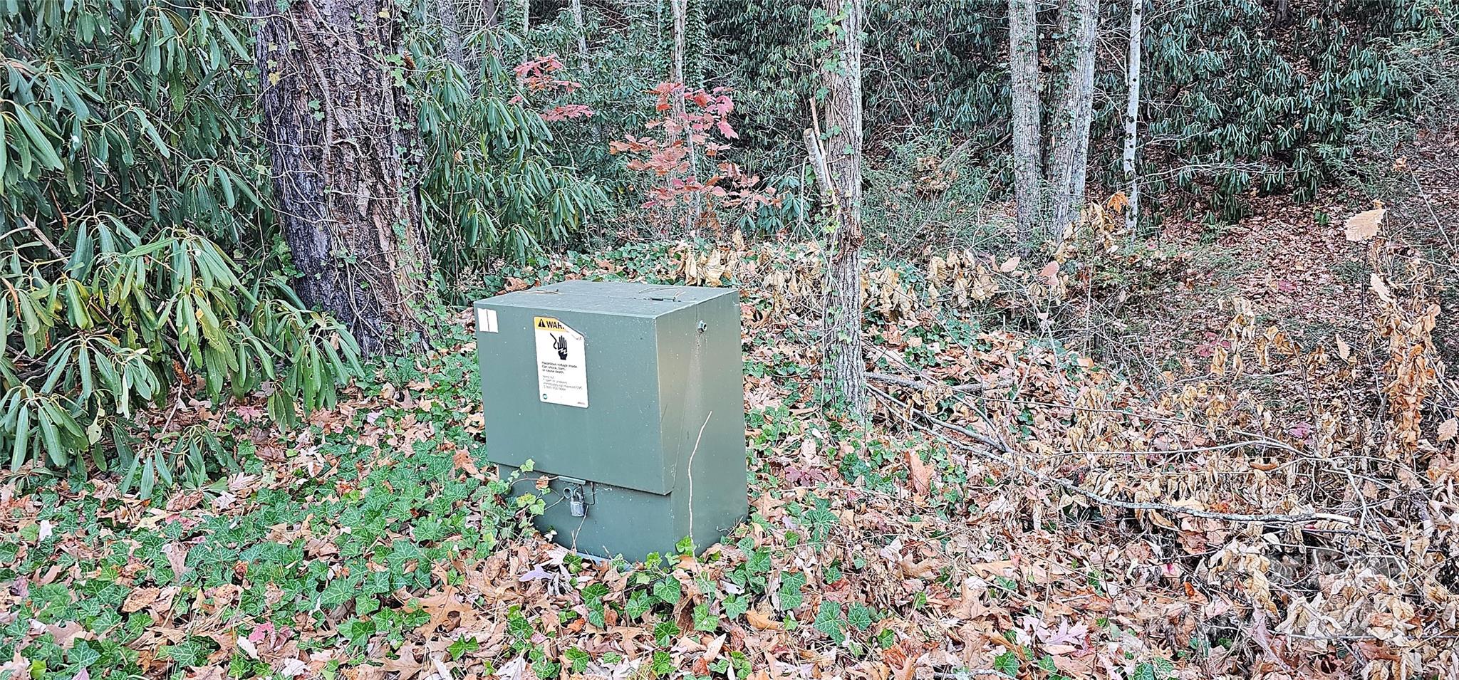 Off Sorrells Cove Road Clyde, NC 28721 - Photo 3 of 23 view of a yard
