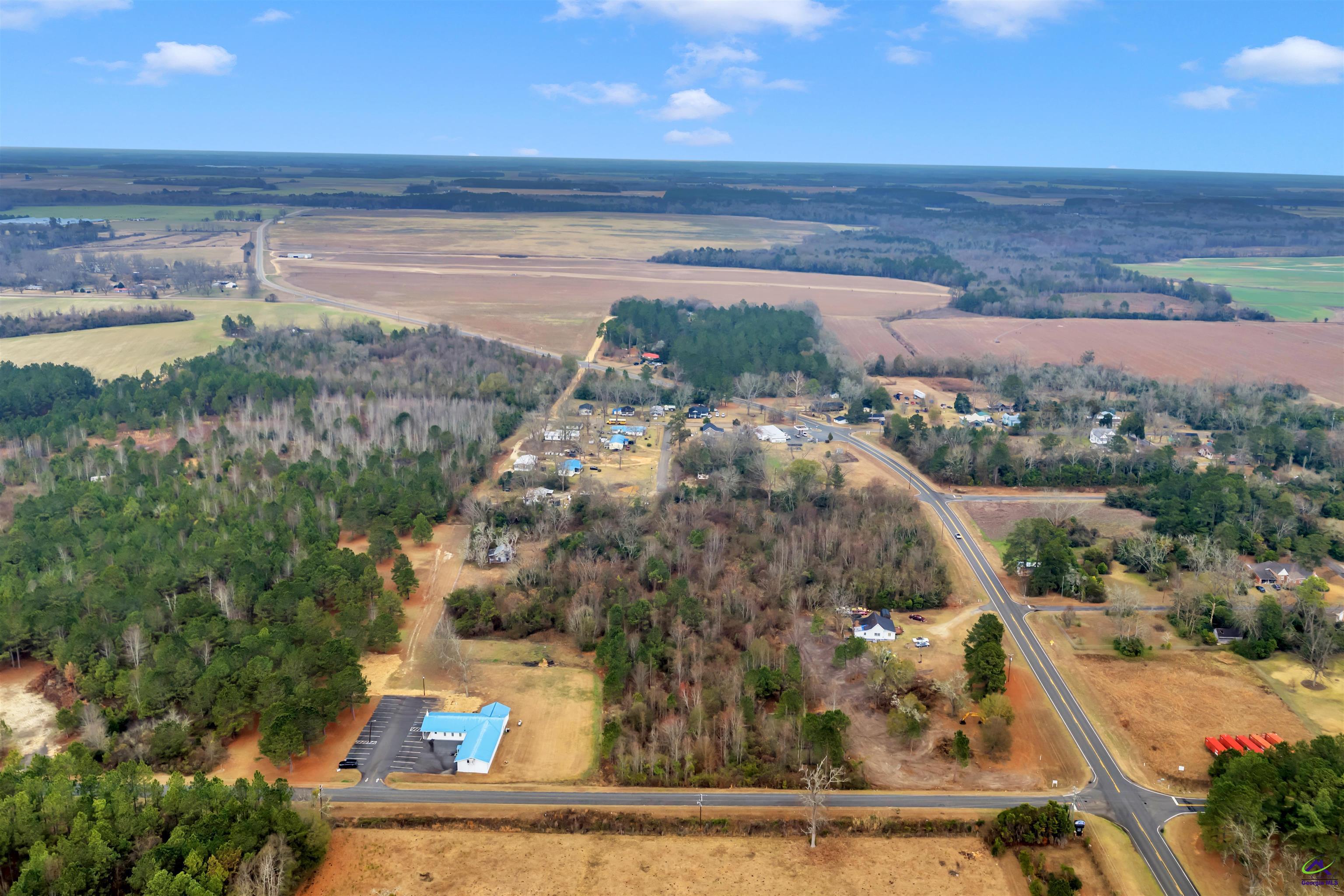 0 Mt Calvery Church Road Pineview, GA 31071 - Photo 4 of 10