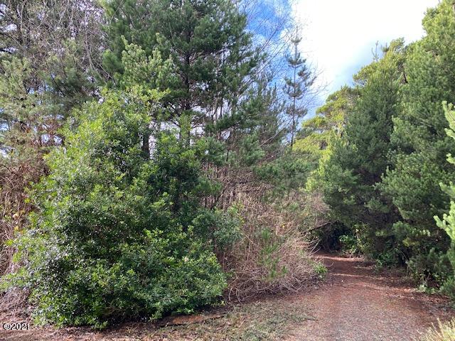 3100 Southwest Sitka Ridge Waldport, OR 97394 - Photo 5 of 6 Beginning NW Corner