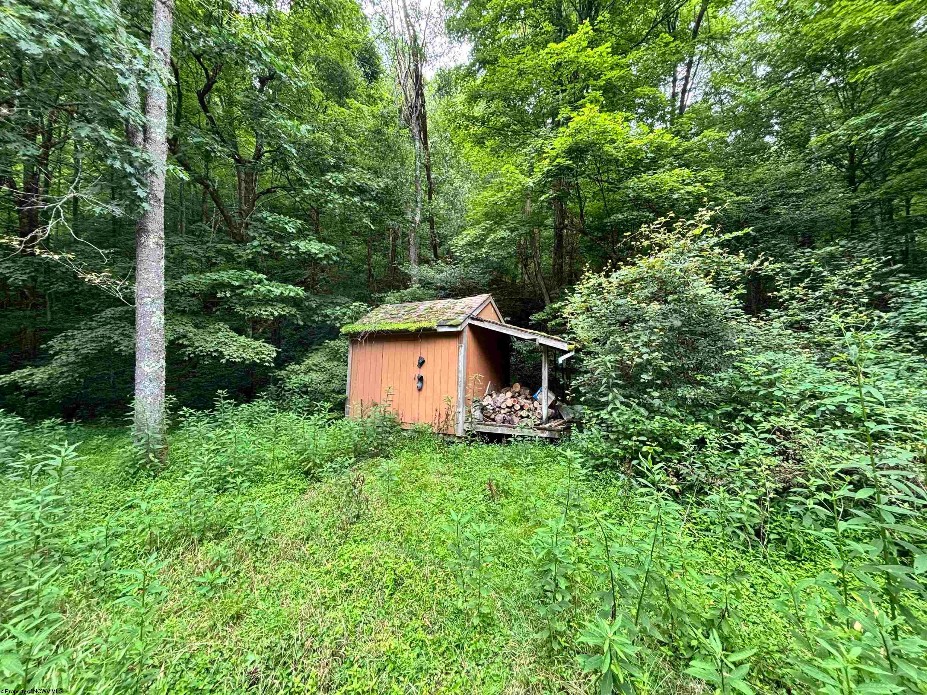 Tbd Clover Run Road Parsons, WV 26287 - Photo 22 of 33 Gallery Image 22