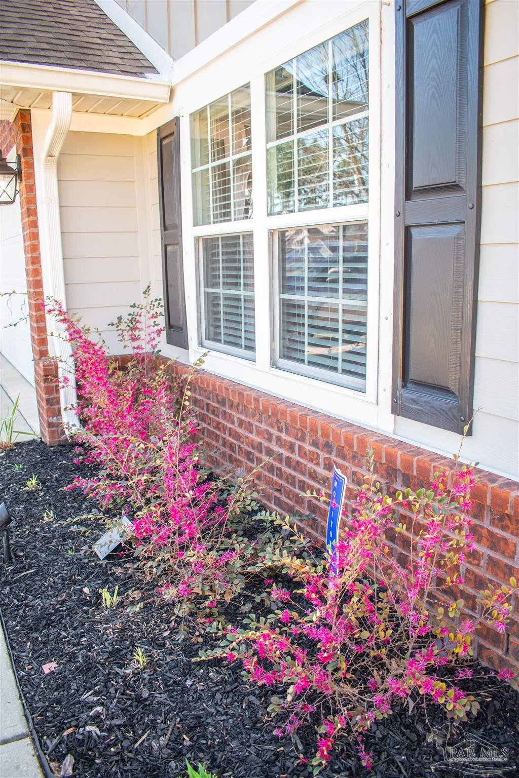 6101 Dunridge Drive Pace, FL 32571 - Photo 4 of 45