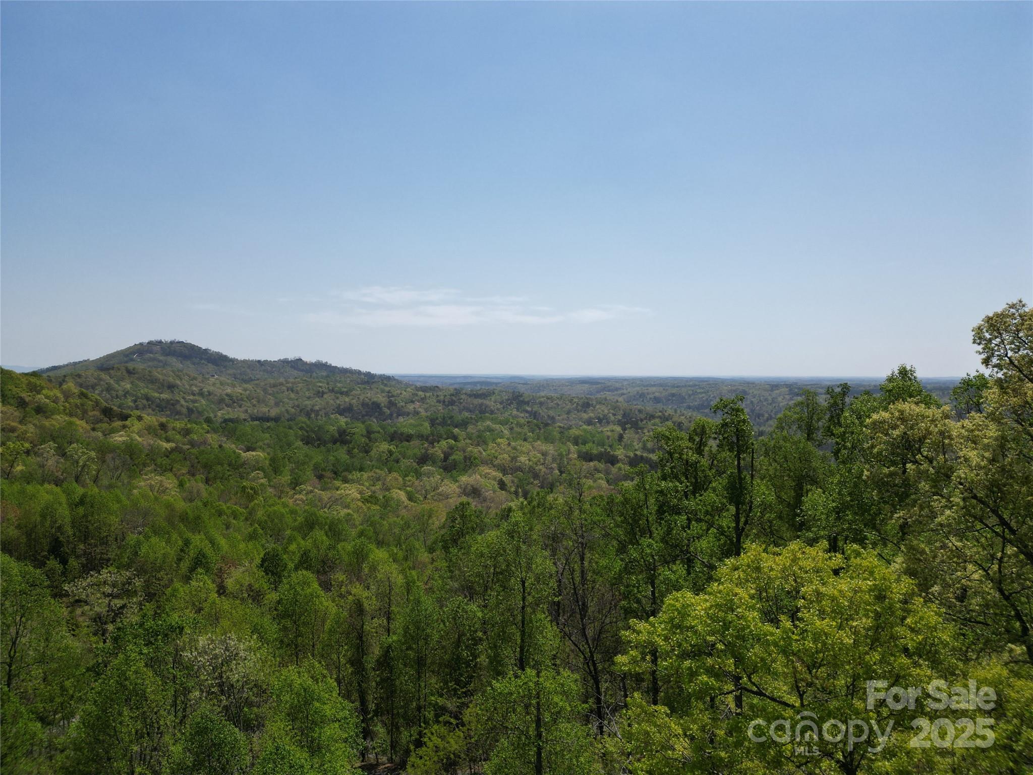 Lot 32 High Rock Ridge Lake Lure, NC 28746 - Photo 11 of 23 a view of a lush green forest with lots of trees