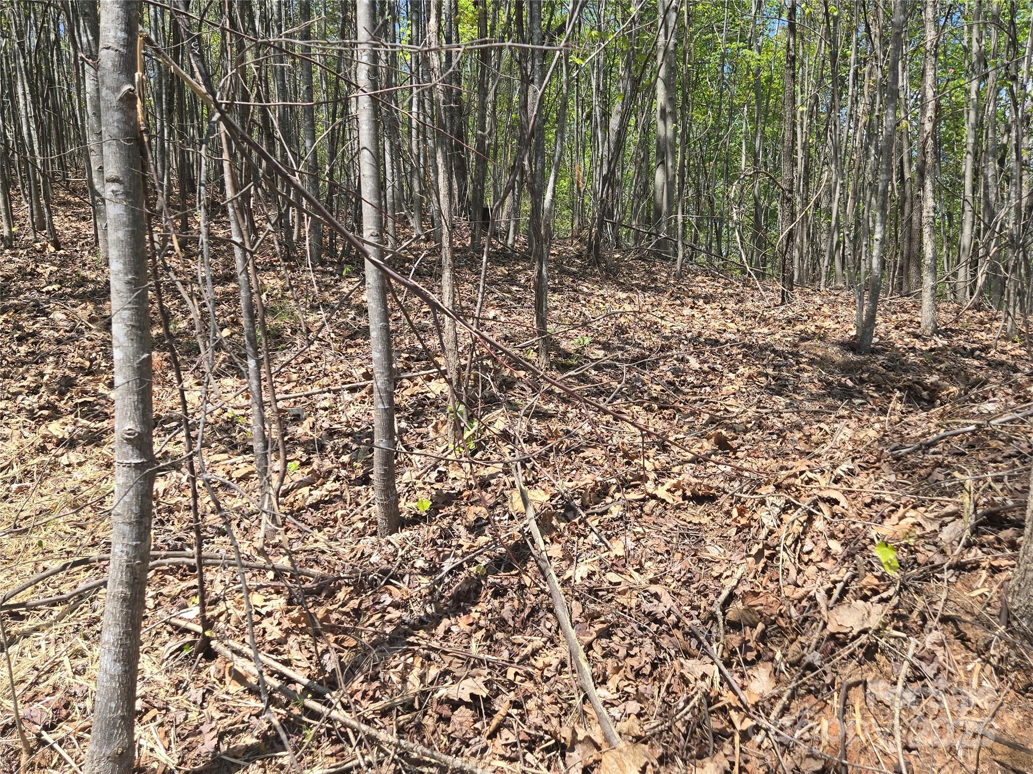 Lot 32 High Rock Ridge Lake Lure, NC 28746 - Photo 13 of 23 a view of a pathway with a tree