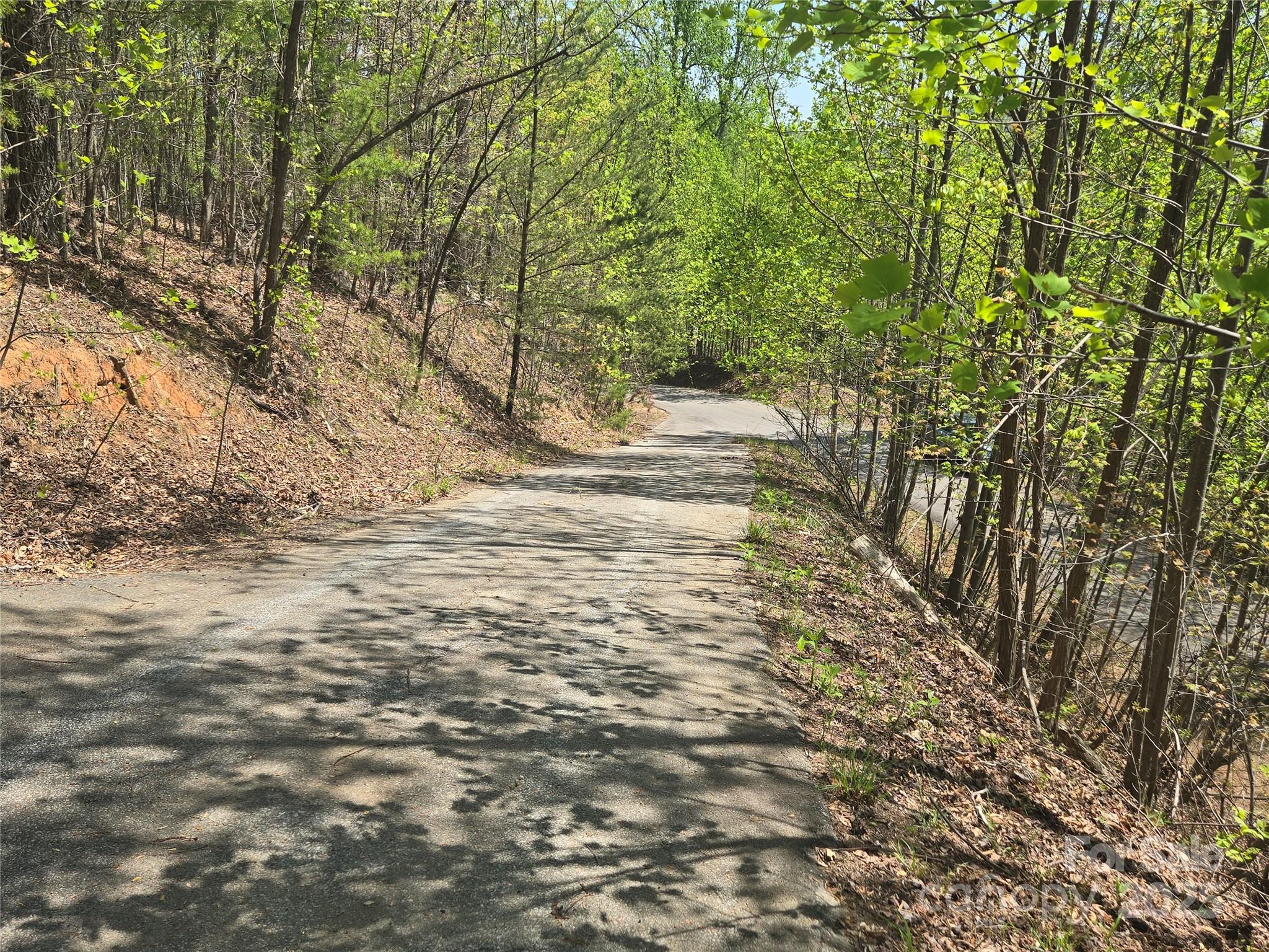 Lot 32 High Rock Ridge Lake Lure, NC 28746 - Photo 4 of 23 a view of dirt field with trees around