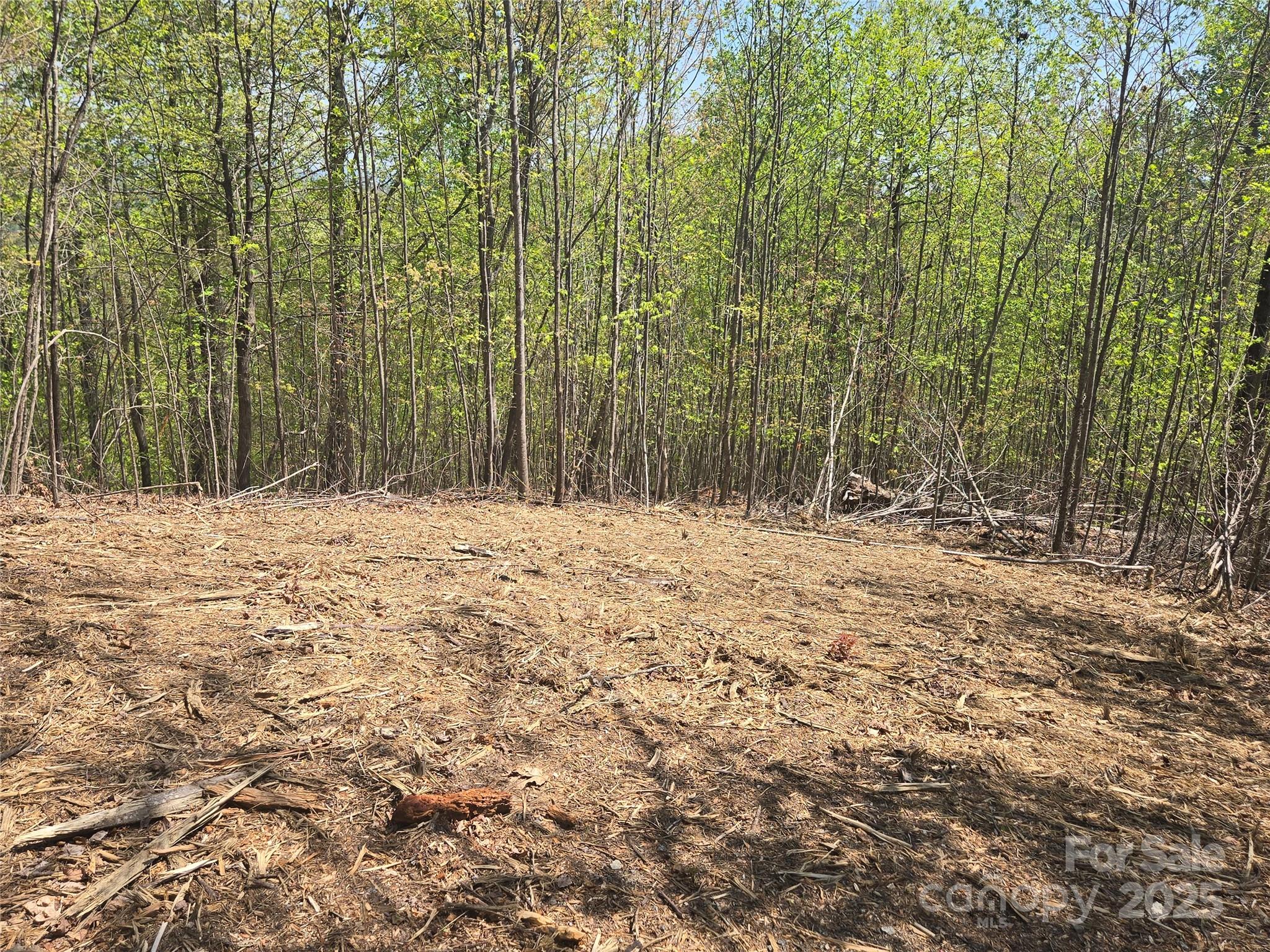 Lot 32 High Rock Ridge Lake Lure, NC 28746 - Photo 7 of 23 a view of large trees and covered with snow