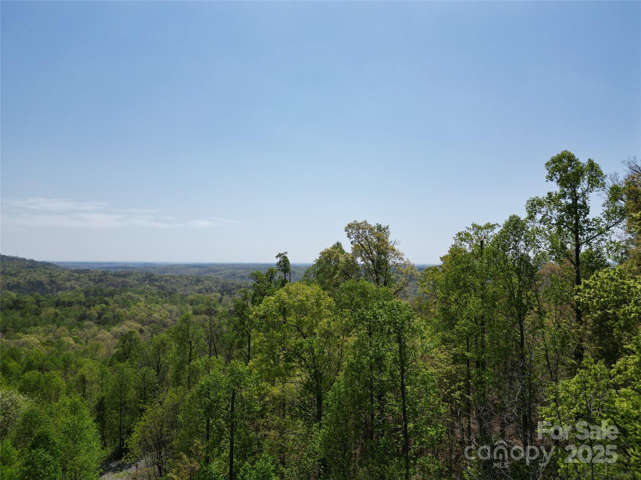 Lot 32 High Rock Ridge Lake Lure, NC 28746 - Photo 10 of 23 a view of a field of grass and trees