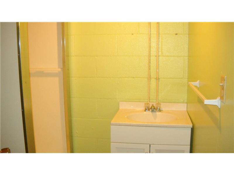 100 North Branch Road Monaca, PA 15061 - Photo 11 of 14 Full Bath. Lower level bath with shower.