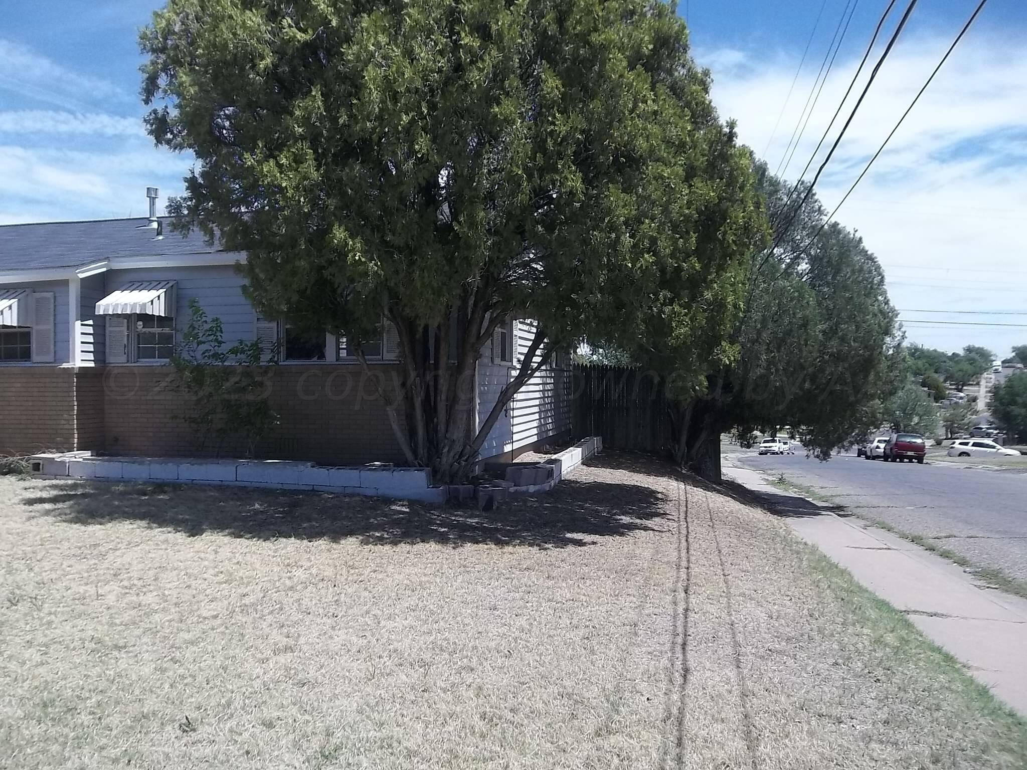2500 Chestnut Street Amarillo, TX 79107 - Photo 3 of 20 a view of a yard with plants and trees