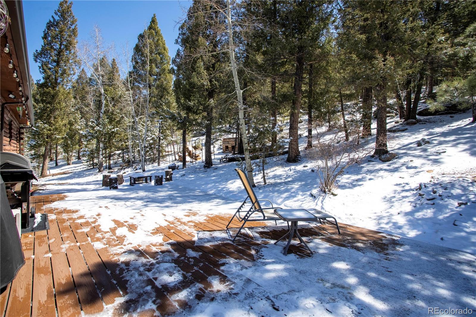 643 Nova Road Pine, CO 80470 - Photo 22 of 32 Gallery Image 22