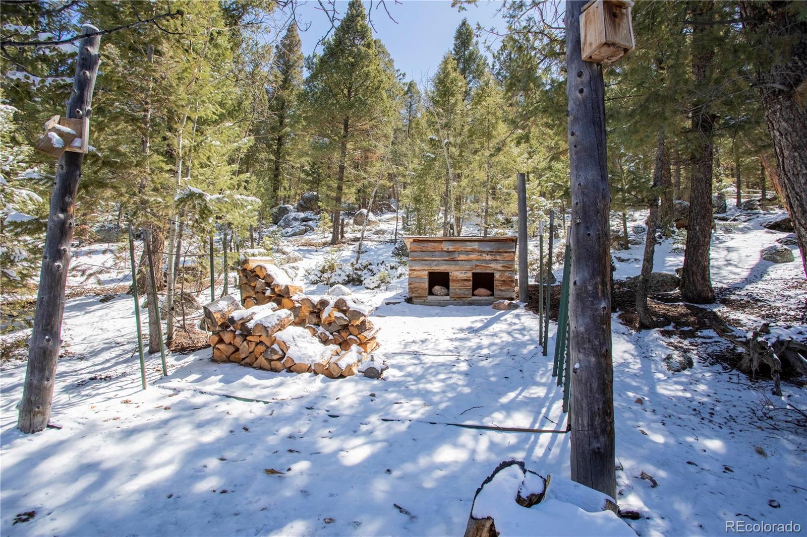 643 Nova Road Pine, CO 80470 - Photo 23 of 32 Gallery Image 23
