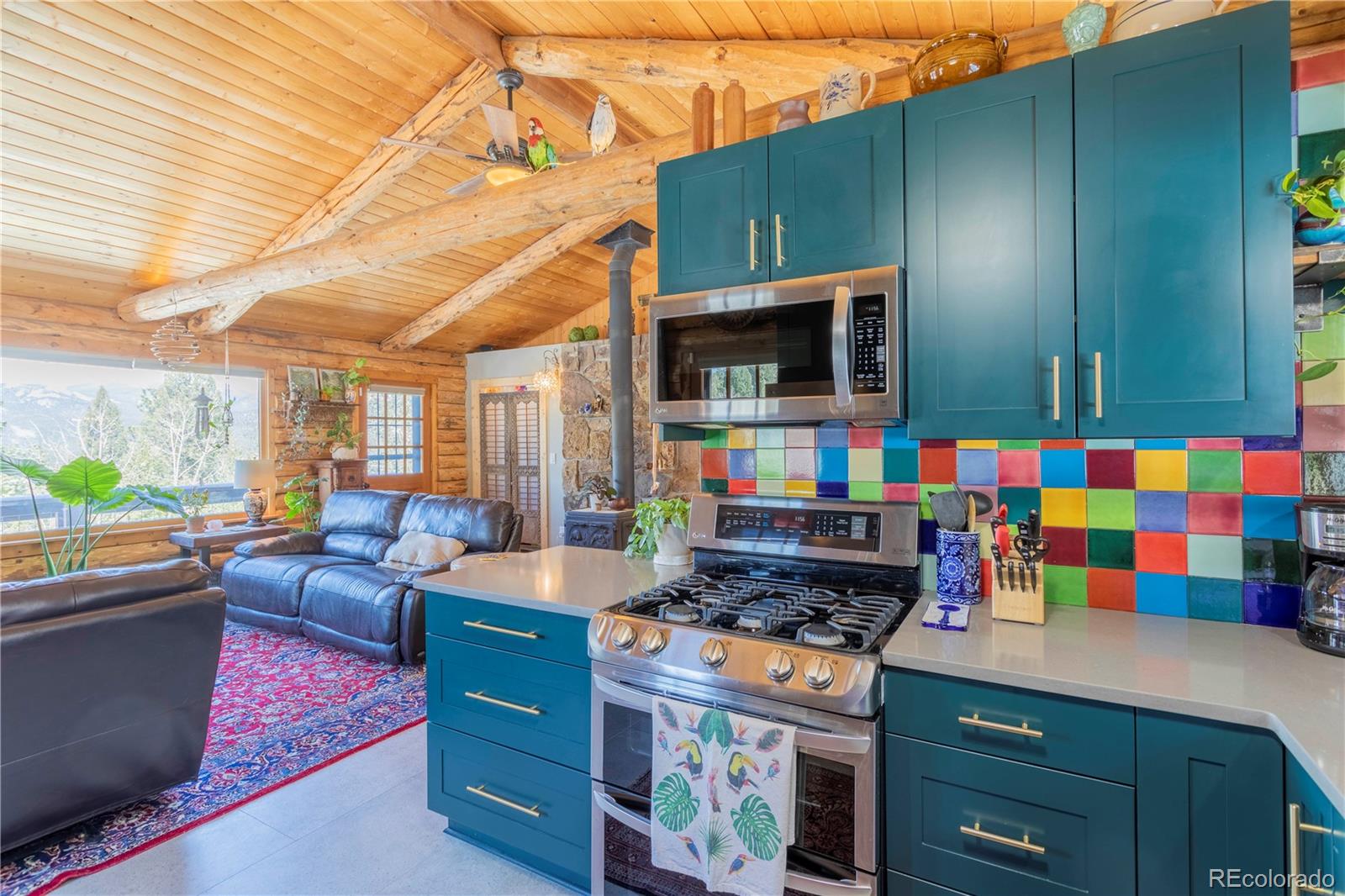 643 Nova Road Pine, CO 80470 - Photo 5 of 32 Gallery Image 5