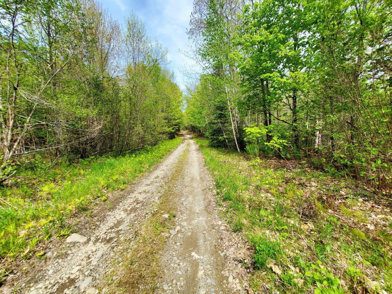 Lot 7 Pleasant Pond Road Milo, ME 04463 - Photo 32 of 32 20260523_143945 a