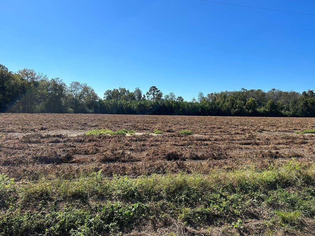 5-ac 5-ac Road Cottonwood, AL 36320 - Photo 1 of 23 Main View