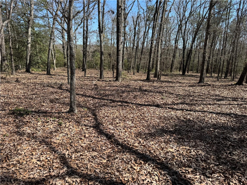 0 Golden Hickory Drive Anderson, SC 29621 - Photo 10 of 22 This tranquil wooded acreage offers a serene escape, perfect for creating a private sanctuary.