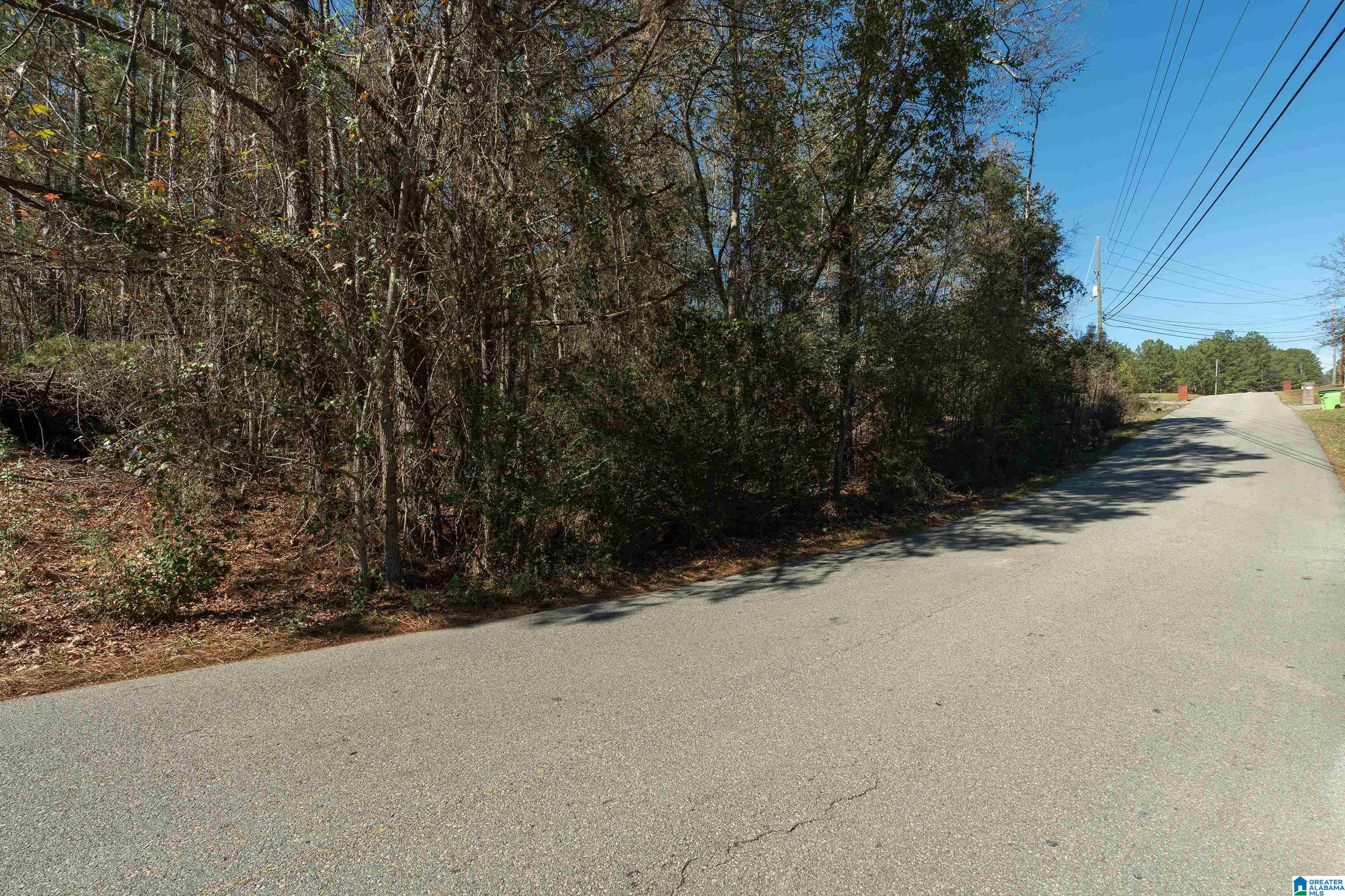 1849 Cedar Creek Road, Unit 8 Odenville, AL 35120 - Photo 10 of 11