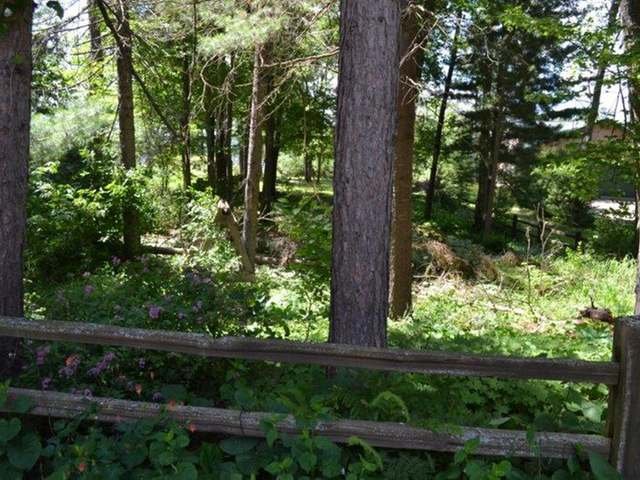 On Manor Road Rhinelander, WI 54501 - Photo 8 of 15 Gallery Image 8