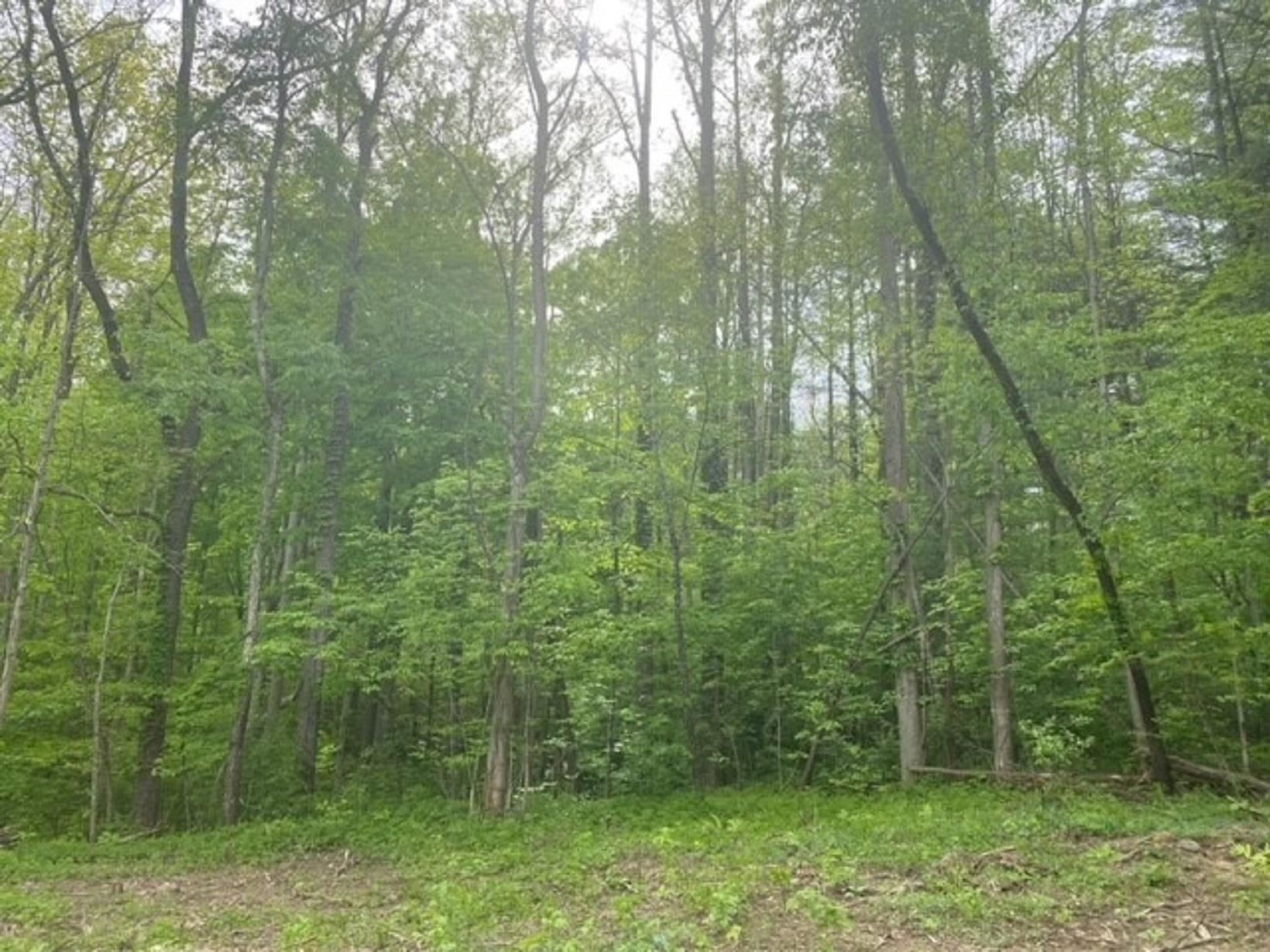 3360 North Bandy Road Spencer, IN 47460 - Photo 12 of 33