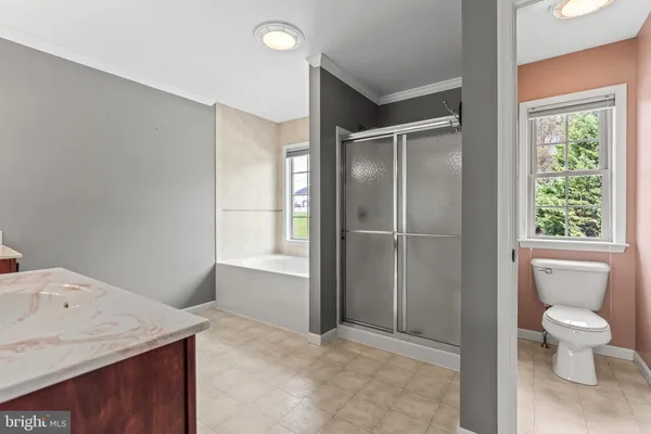 a bathroom with a shower and a toilet