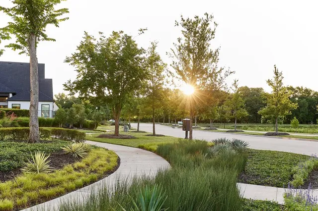 a view of a park with a tree