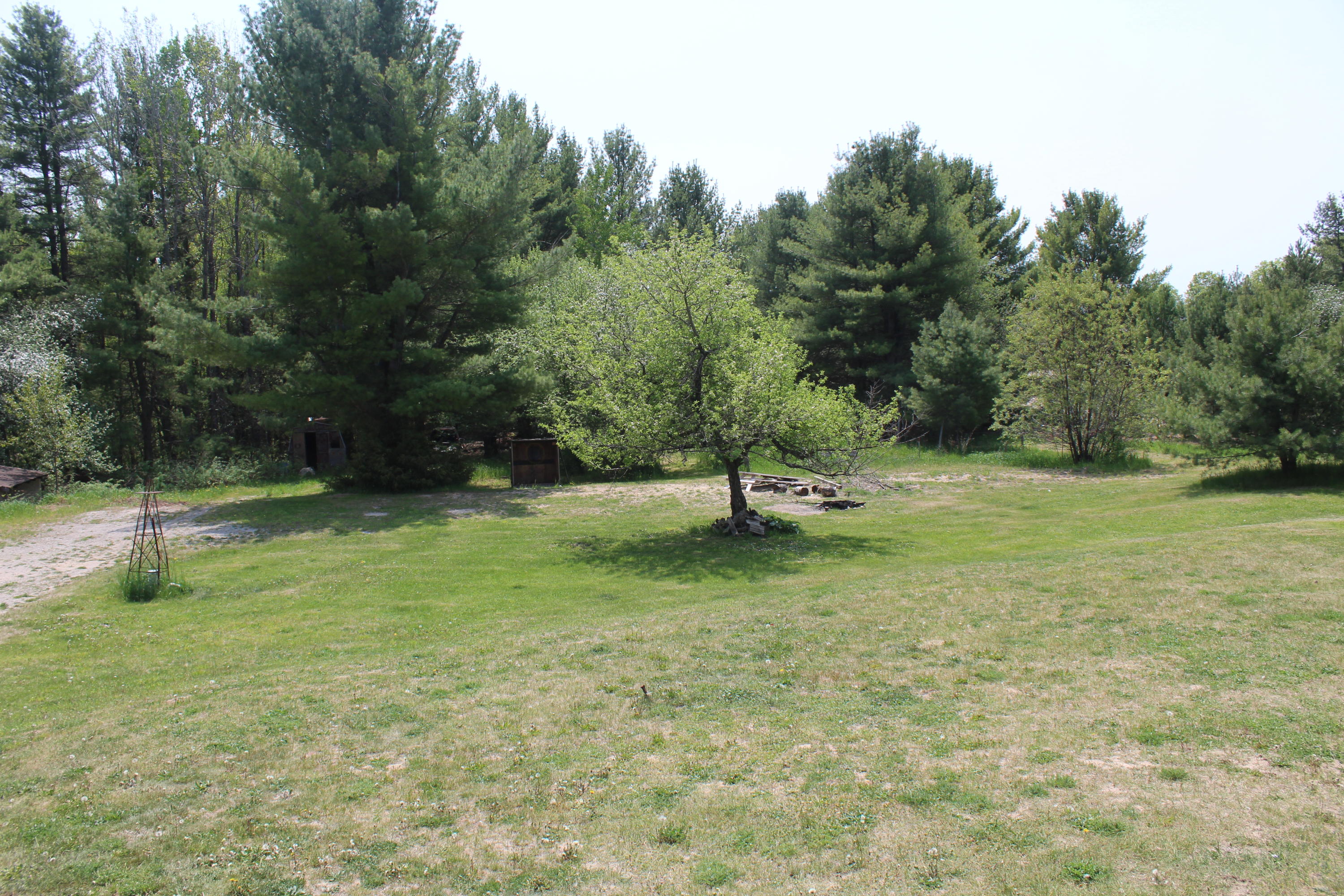 9811 King Road Alanson, MI 49706 - Photo 26 of 27 Gallery Image 26