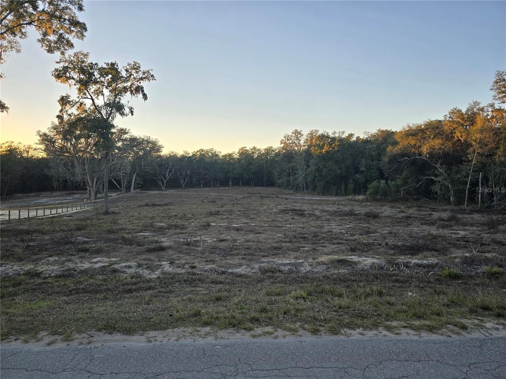 a view of a field with trees in background