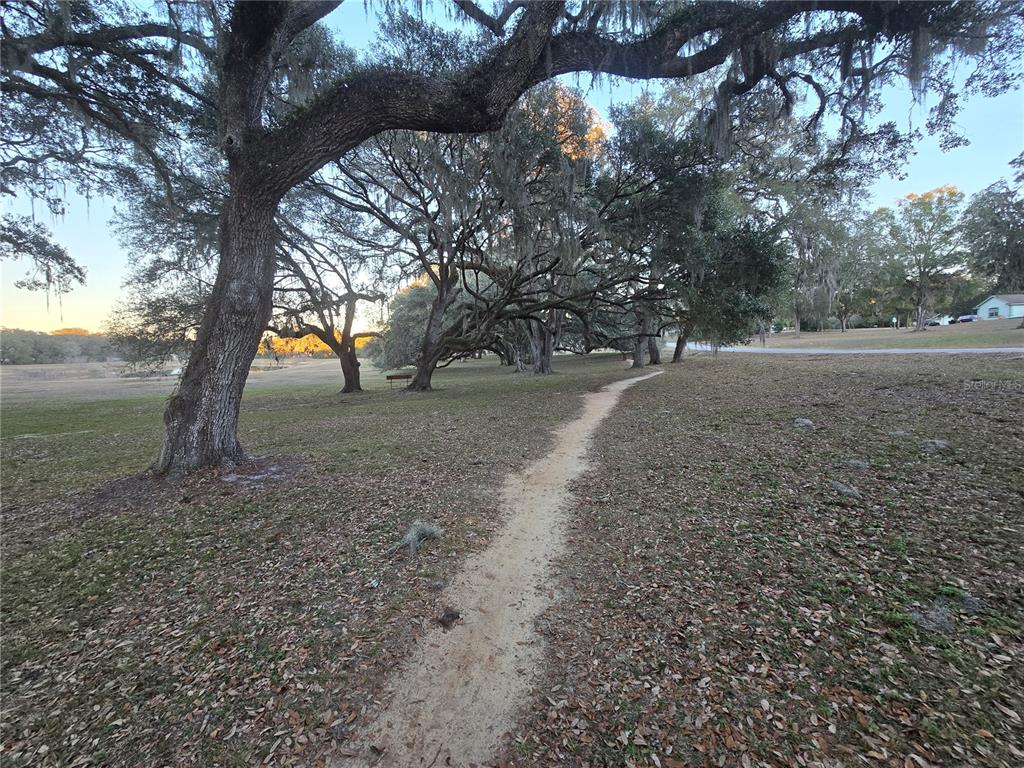 Southwest 136th Ct Road Dunnellon, FL 34432 - Photo 11 of 13 a view of dirt yard with a large tree