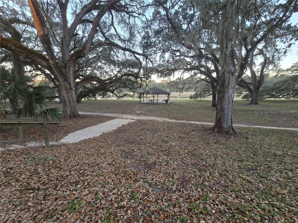 Southwest 136th Ct Road Dunnellon, FL 34432 - Photo 4 of 13 a view of a yard with trees