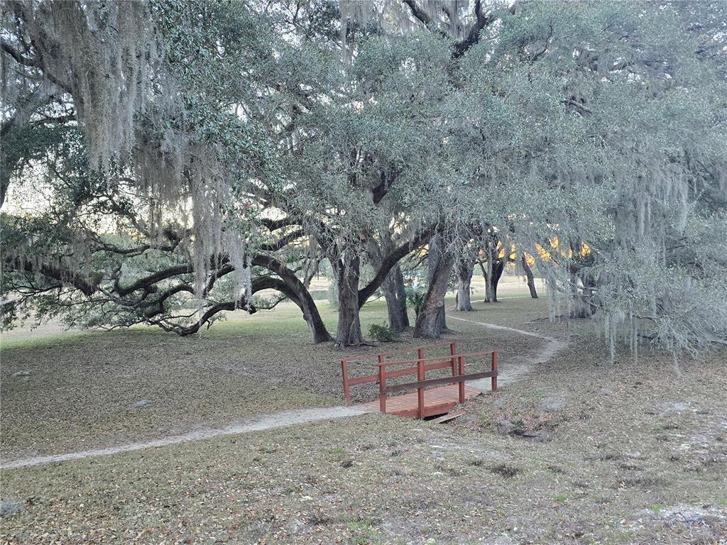 Southwest 136th Ct Road Dunnellon, FL 34432 - Photo 9 of 13 a view of a trees with a yard