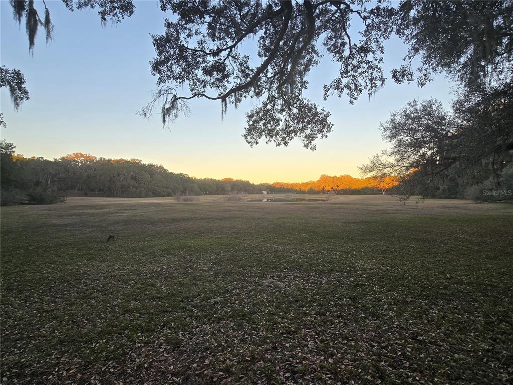 Southwest 136th Ct Road Dunnellon, FL 34432 - Photo 10 of 13 a view of an outdoor space and yard