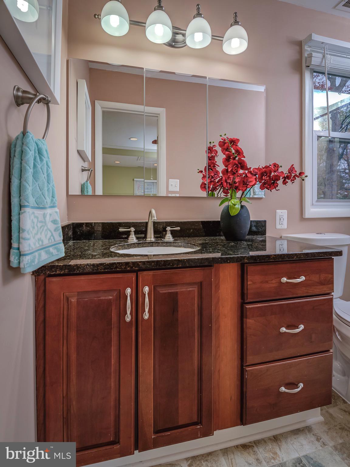 2711 Jennings Road Kensington, MD 20895 - Photo 18 of 28 Master Bathroom