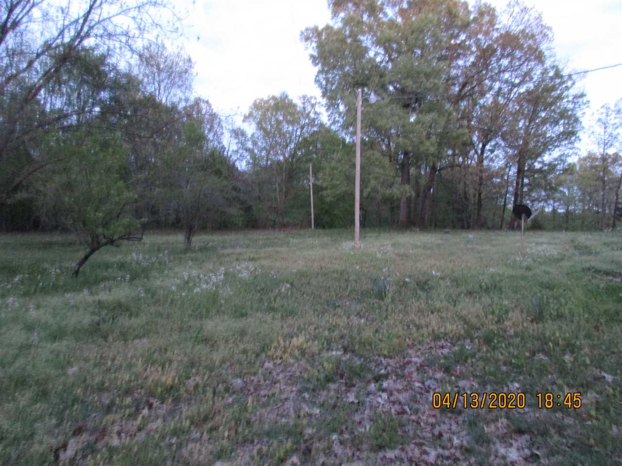1395 South Neely Road Middleton, TN 38052 - Photo 6 of 13 Gallery Image 6