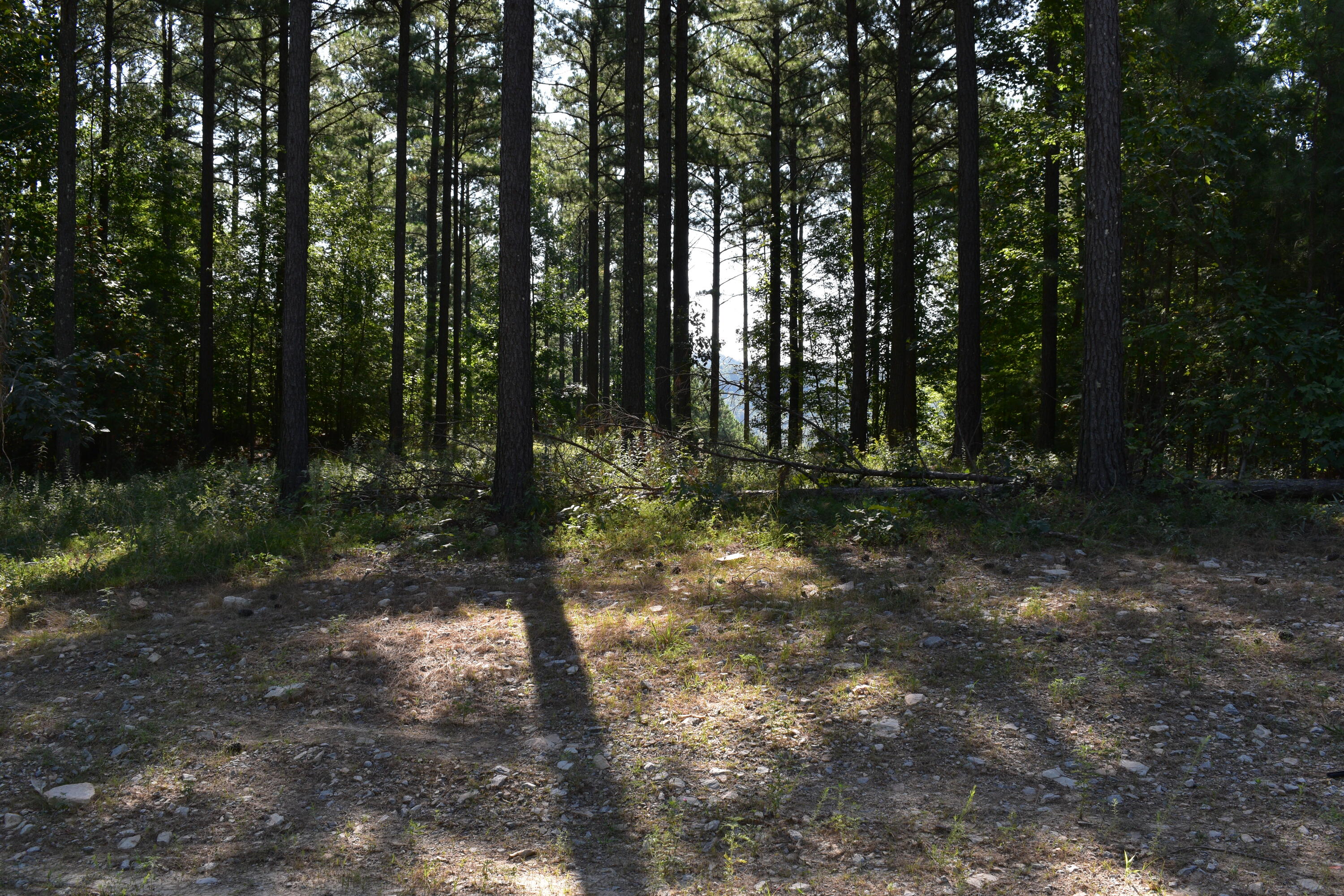 0 Buck Crossing Drive, Unit 1002 Guild, TN 37340 - Photo 2 of 4 DSC_0404 - Copy