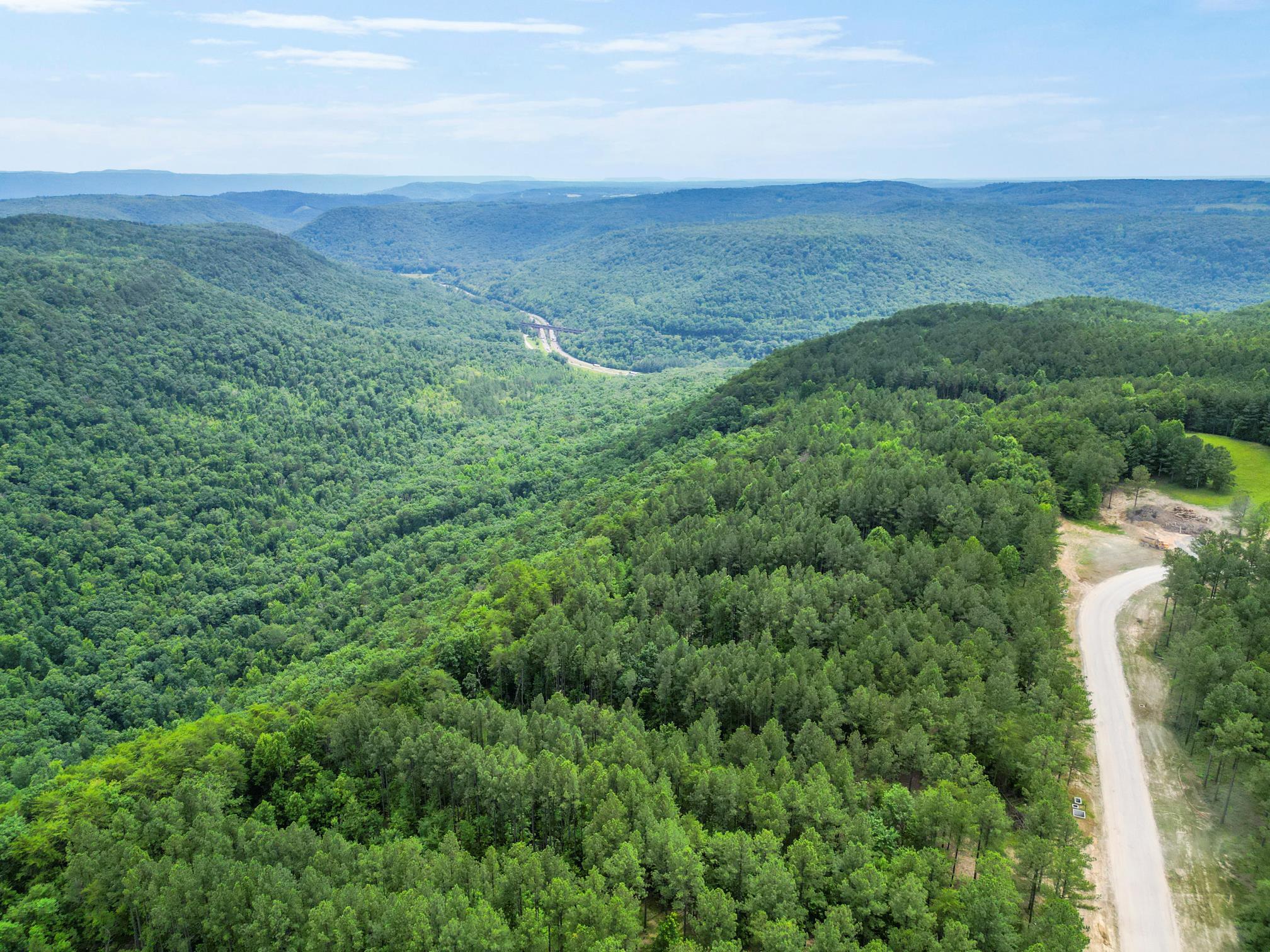 0 Buck Crossing Drive, Unit 1002 Guild, TN 37340 - Photo 4 of 4 1371-2