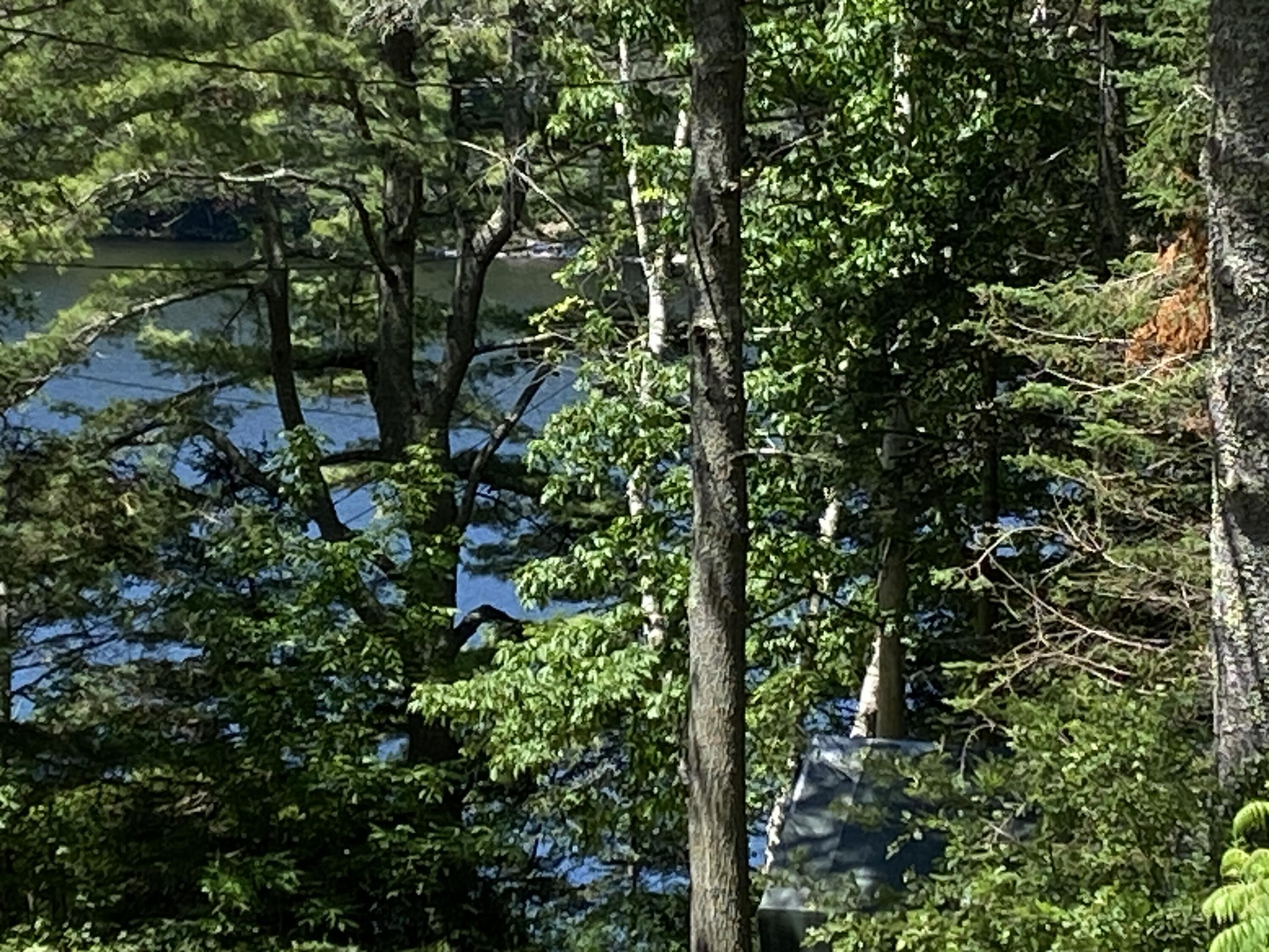 93 Lakeview Road West Boothbay Harbor, ME 04575 - Photo 11 of 11 Ferris water view 2