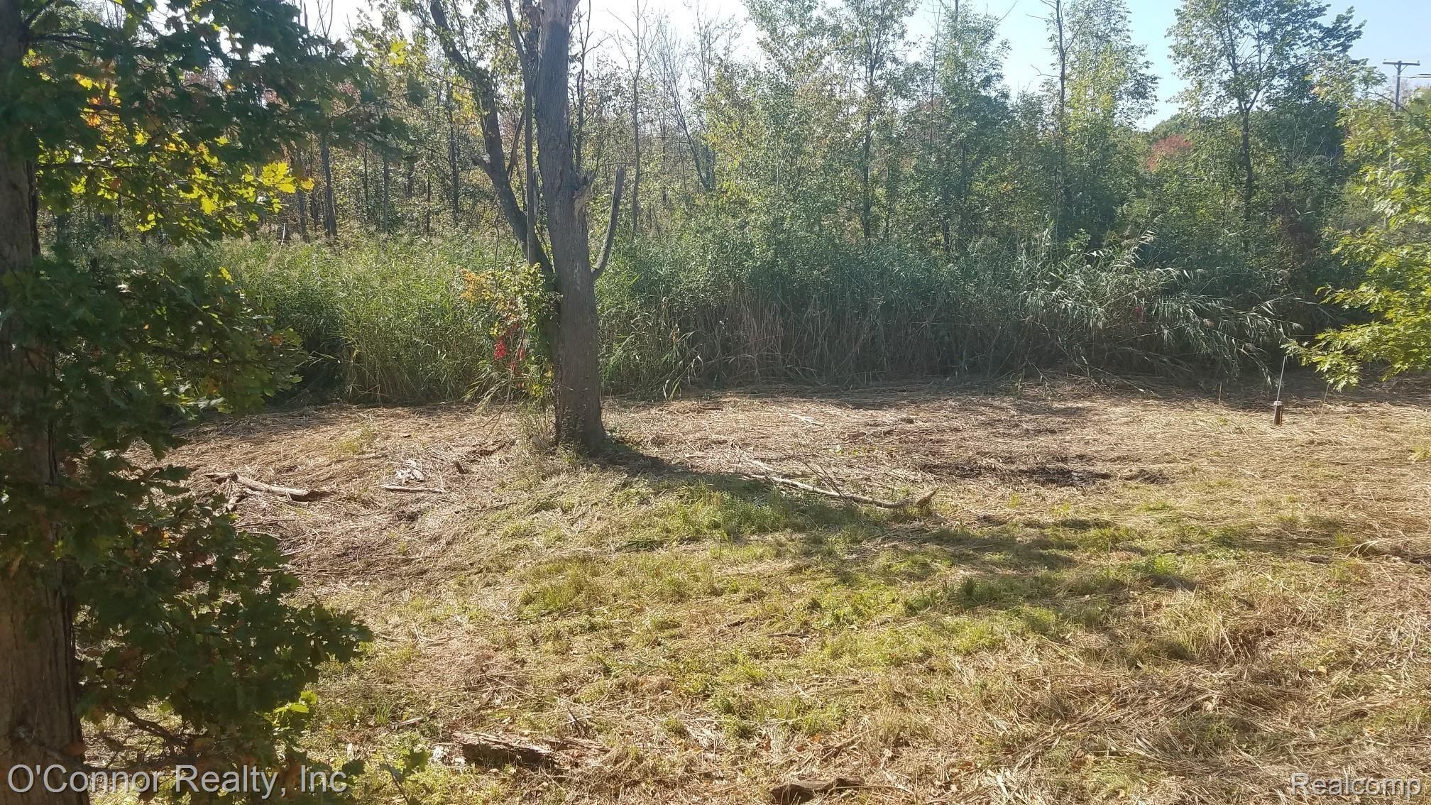 6489 Rynn Road North Street, MI 48049 - Photo 3 of 14 20190918_114455_resized.jpg