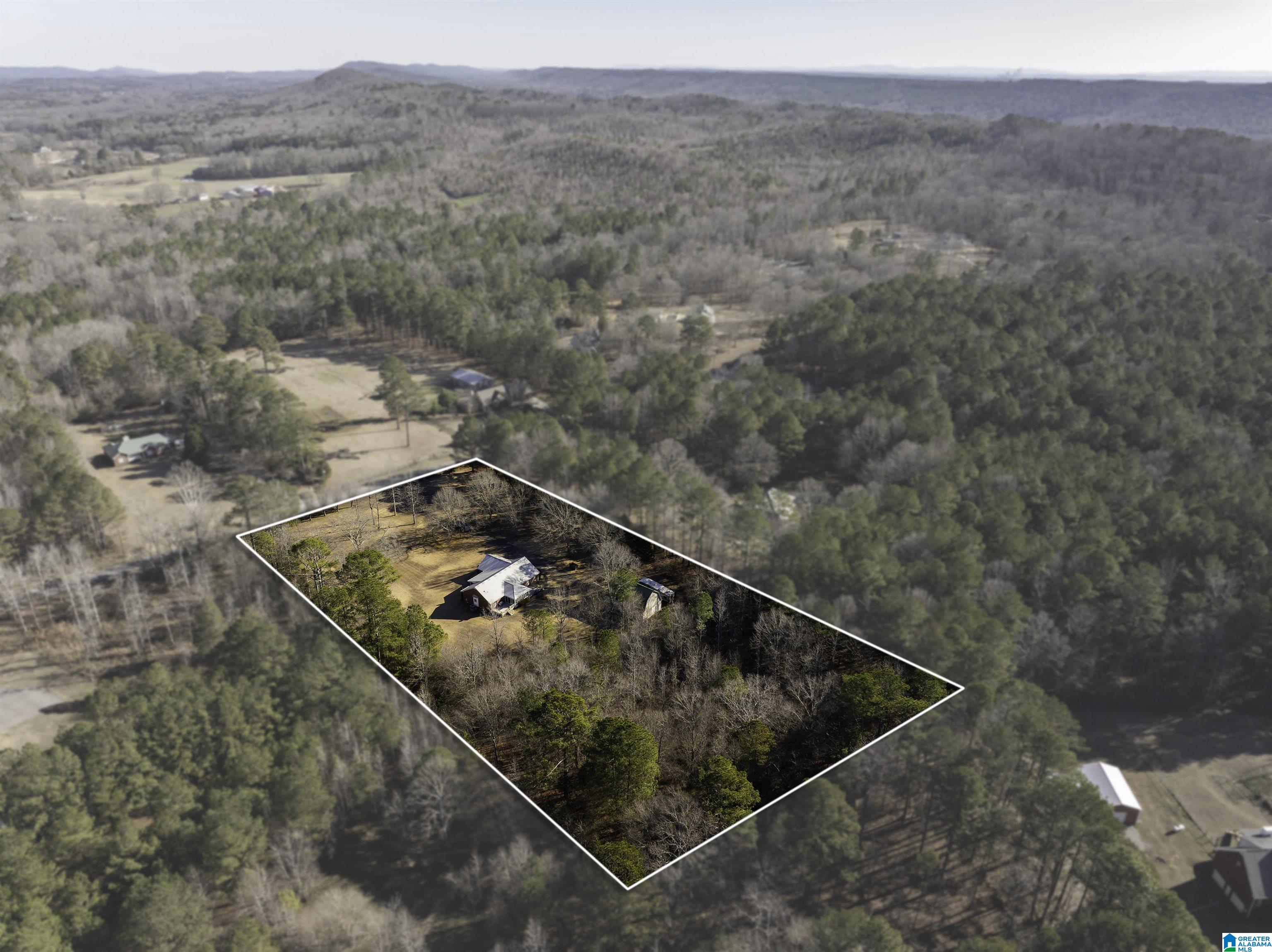 1115 Beaver Ridge Circle Ashville, AL 35953 - Photo 5 of 42 Gallery Image 5