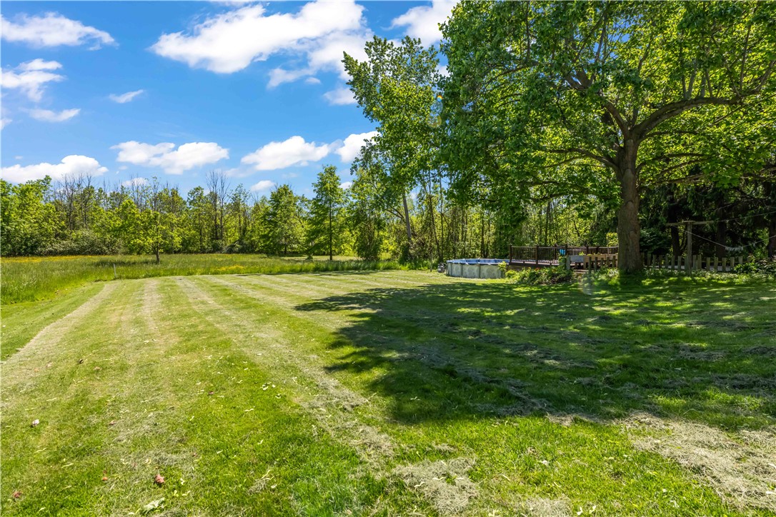 15878 Bridge Road Kendall, NY 14477 - Photo 37 of 44