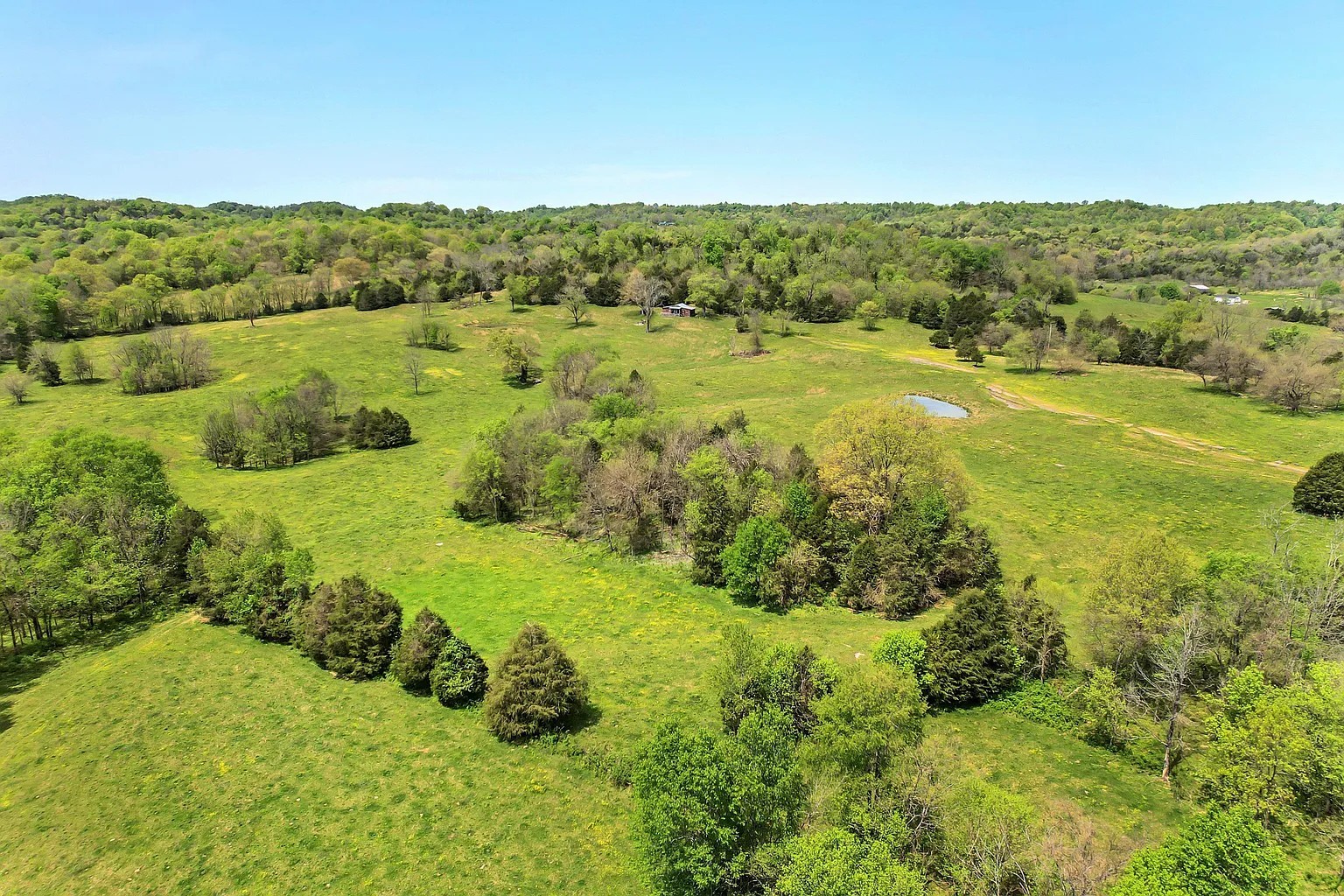 290 Gladdice Road Pleasant Shade, TN 37145 - Photo 28 of 41