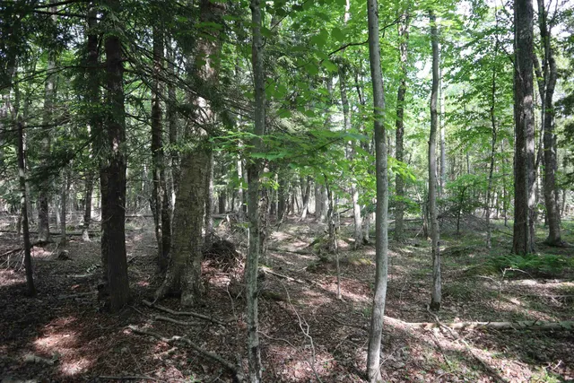 $90,000 | 15 Mikuchonis Lane, Menominee, MI 49858