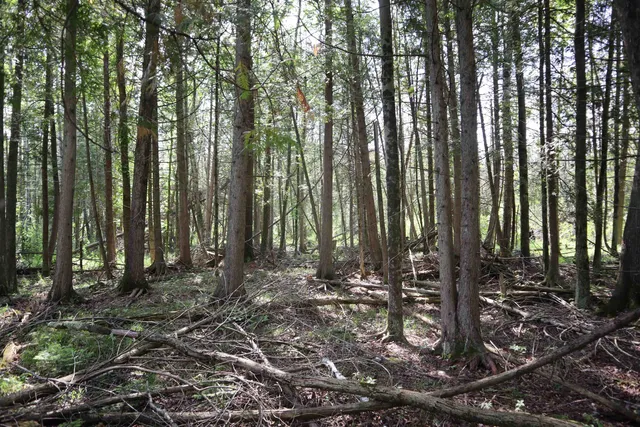 $90,000 | 15 Mikuchonis Lane, Menominee, MI 49858