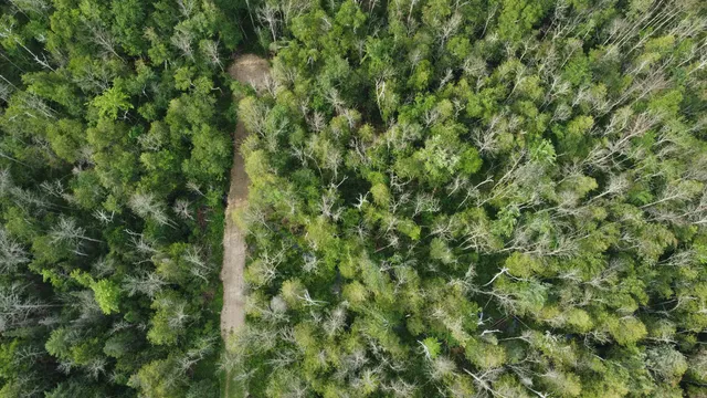 $90,000 | 15 Mikuchonis Lane, Menominee, MI 49858