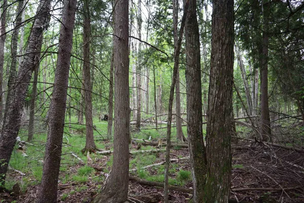 $90,000 | 15 Mikuchonis Lane, Menominee, MI 49858