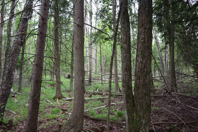 $90,000 | 15 Mikuchonis Lane, Menominee, MI 49858